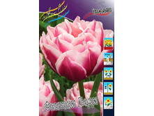 21,4���. ������� ������� ����(�������� ���� �� 10 ��., ����������� ����� 5��.).jpg