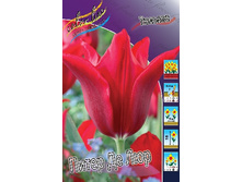 11���. ������� ����� �� ���(���������� ������ ������ ���������� �� 10 ��.).jpg