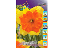 22,4���. ������� ��������(�������� ���� �� 7 ��., ����������� ����� 2��.)���16.jpg