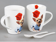 243 ���. - ����� ������ 320��, 2��, � �������