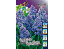 9,81���. ������� ������� �������(���������� ������ ������ ���������� �� 10 ��.).jpg