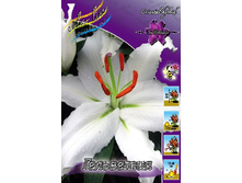 19,49���. ����� ���������(���������� ������ ������ ���������� �� 7 ��.).jpg