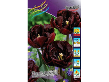 19,17���. ������� ��������(�������� ���� �� 10 ��., ����������� ����� 5��.).jpg