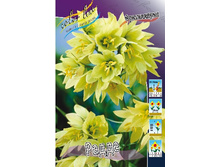 300,1���. ����������� �����(�������� ���� �� 2 ��., ����������� ����� 1��.).jpg