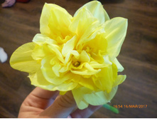 ������� ��� �������