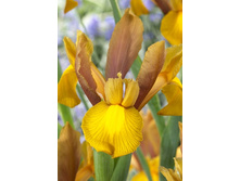 10,26���. ���� ����. ������ �����(���������� ������ ������ ���������� �� 10 ��.).jpg