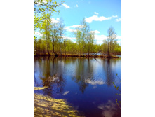 IMG 20170507 120155.jpg