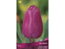 ������� ��� �����.jpg