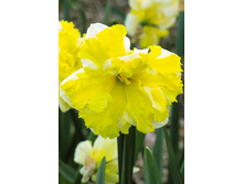 36,1���. ������� ������ �����(�������� ���� �� 5 ��., ����������� ����� 3��.)���17.jpg