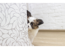 ������ 2 ���.12