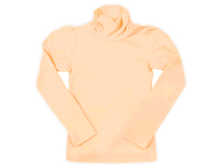 3093 �������2.png