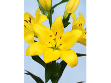 19,49���. ����� ������(���������� ������ ������ ���������� �� 7 ��.)���17.jpg