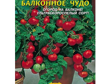 ��������� ����