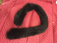 ������ - ���������� ����