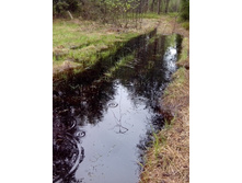 IMG 20170508 150211.jpg