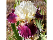 114,7���. ���� ���������� ������� ������(�������� ���� �� 2 ��., ����������� ����� 1��.)���17.jpg