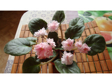 ��-������(2014�)