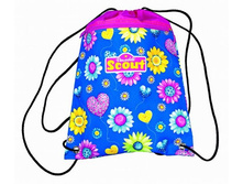 ����� SCOUT �/�� ����� �����