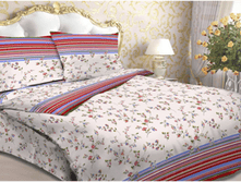 ������������ ������.png