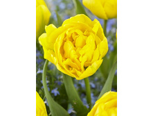 16,2���. ������� �������(�������� ���� �� 10 ��., ����������� ����� 5��.)���17.jpg