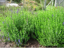 ����� 30�