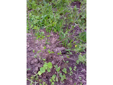 ����� ��� (3).jpg