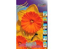 24,63���. ������� �����(�������� ���� �� 7 ��., ����������� ����� 2��.).jpg