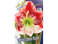 240,7���. ��������� �������� ����(���������� ������ ������ ���������� �� 1 ��.).jpg