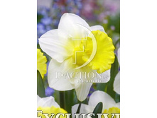 22,4���. ������� �� �����(�������� ���� �� 7 ��., ����������� ����� 3��.)���17.jpg