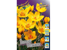 7,28���. ������ ������ ������(���������� ������ ������ ���������� �� 10 ��.).jpg