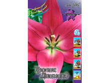 19,5���. ����� ������ �������(���������� ������ ������ ���������� �� 5 ��.).jpg