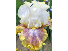 141,6���. ���� ���������� ���� ������ �����(�������� ���� �� 2 ��., ����������� ����� 1��.)���17.jpg