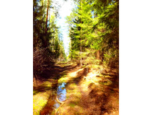 IMG 20170507 133026.jpg