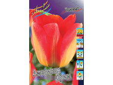 9,51���. ������� �������� ����(���������� ������ ������ ���������� �� 10 ��.).jpg