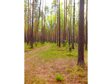 IMG 20170513 133300.jpg