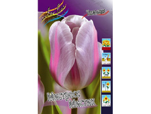 11,74���. ������� �������� ������(���������� ������ ������ ���������� �� 10 ��.).jpg