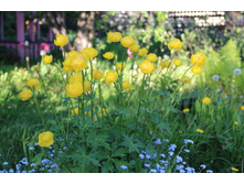 ���������� ֣���� (�ϣ ����)