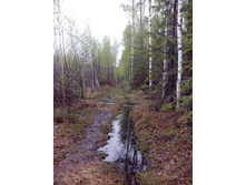 IMG 20170508 154355.jpg