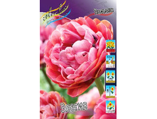 19,17���. ������� ������(�������� ���� �� 10 ��., ����������� ����� 5��.)���16.jpg