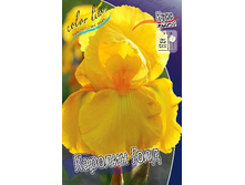 81,8���. ���� ���������� ������� ����(�������� ���� �� 2 ��., ����������� ����� 1��.).jpg