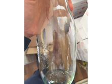 IMG 2587-18-05-17-07-00.jpeg