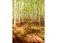 IMG 20170507 122413.jpg