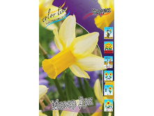 16,94���. ������� ����� ���(�������� ���� �� 10 ��., ����������� ����� 5��.)���16.jpg