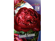 283,2���. ���� ����� �����(���������� ������ ������ ���������� �� 1 ��.).jpg