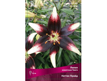 ����� ������ �����.jpg