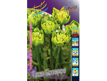 30,57���. ������� ���� �������(�������� ���� �� 7 ��., ����������� ����� 2��.).jpg