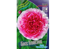 2704,5���. ���� ���� �������(�������� ���� �� 1 ��., ����������� ����� 1��.).jpg