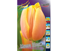 15,46���. ������� ����� ����(�������� ���� �� 10 ��., ����������� ����� 5��.).jpg