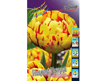 13,52���. ������� ������ �����(���������� ������ ������ ���������� �� 10 ��.).jpg