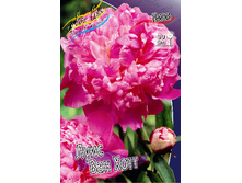 160,6���. ���� ���� ��� ����(���������� ������ ������ ���������� �� 1 ��.).jpg